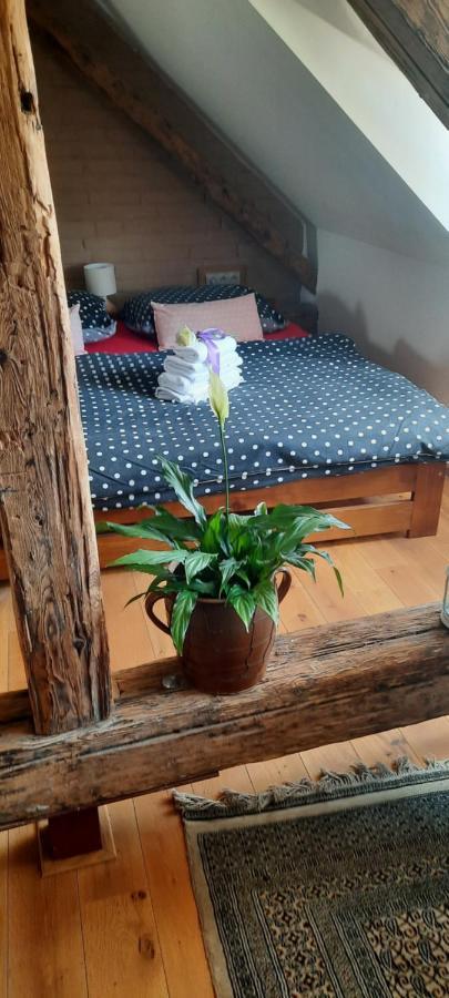 Penzion-Apartman U Johana Moravská Třebová Exterior foto